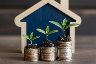 Foto: Holzhäuschen mit Münztürmen und Pflanzensprösslingen davor